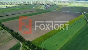 COMISION 0% Teren intravilan 40.600 mp cu front de 84,5 ml, zona Bucovat - imagine 6