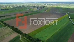 COMISION 0% Teren intravilan 40.600 mp cu front de 84,5 ml, zona Bucovat - imagine 8