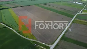 COMISION 0% Teren intravilan 40.600 mp cu front de 84,5 ml, zona Bucovat - imagine 4