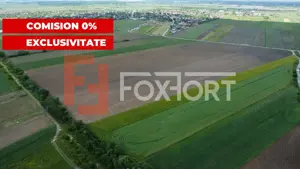 COMISION 0% Teren intravilan 40.600 mp cu front de 84,5 ml, zona Bucovat - imagine 3