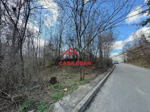 Teren intravilan in Campina--1565 mp--45.000e - imagine 3