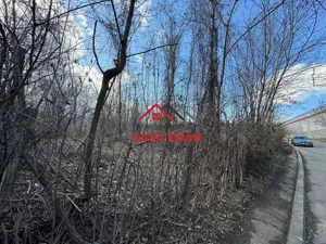 Teren intravilan in Campina--1565 mp--45.000e - imagine 7