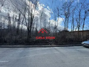 Teren intravilan in Campina--1565 mp--45.000e - imagine 4