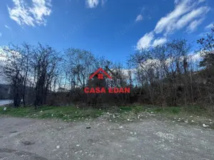 Teren intravilan in Campina--1565 mp--45.000e - imagine 9