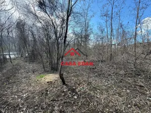 Teren intravilan in Campina--1565 mp--45.000e - imagine 11