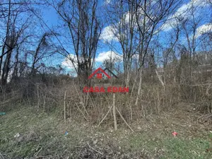 Teren intravilan in Campina--1565 mp--45.000e - imagine 10