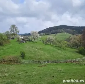 Vând teren fânaț - imagine 3