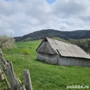 Vând teren fânaț - imagine 2