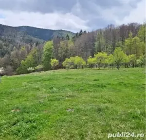 Vând pădure, Râul Mare