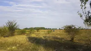 Teren intravilan Ciorogarla, 500 mp, deschidere 20 ml - imagine 6