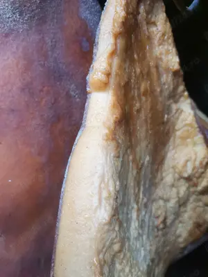 Vând slănină proaspăt afumata. 