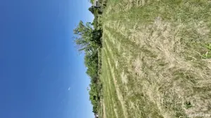 Teren de vanzare - imagine 2