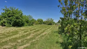 Teren de vanzare - imagine 7