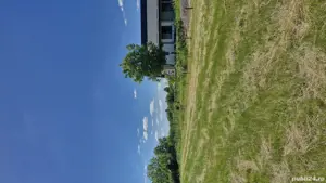 Teren de vanzare - imagine 4