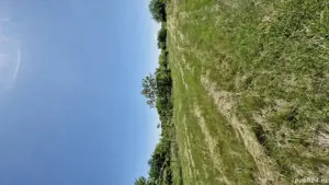 Teren de vanzare - imagine 3