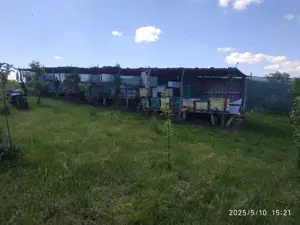 VÎND CASĂ, cu Prisacă, cu afacere apicolă în  Loc. BOIAN - HODĂI, Str. PRINCIPALĂ