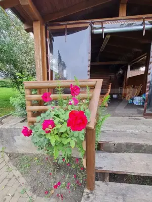 Casa vacanta 5 camere Paltinoasa, zona excelenta, in circuit turistic! - imagine 12