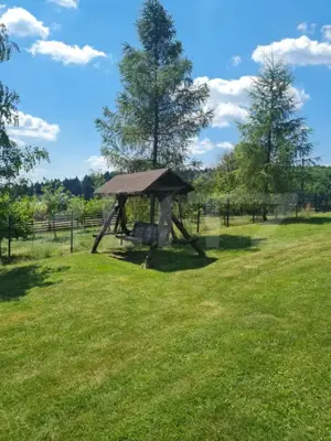 Casa vacanta 5 camere Paltinoasa, zona excelenta, in circuit turistic! - imagine 4