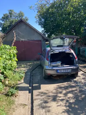 Cas  cu garaj si gradina la Vucova - imagine 4