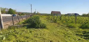 Teren arabil și vita-de-vie 2000 mp - imagine 6