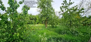 Casa la pret de apartament si teren 2358 mp, com.Girov - imagine 18