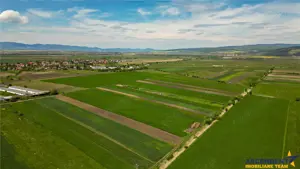 FILM! Teren extravilan 5.000 mp in zona linistita cu acces facil, Bod, Brasov.. - imagine 5