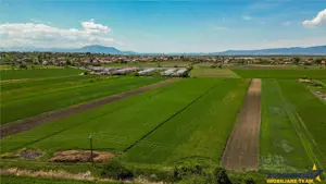 FILM! Teren Extravilan 5.000 mp in Zona Linistita cu Acces Facil – Bod, Brasov