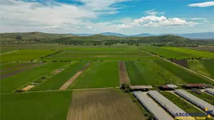 FILM! Teren extravilan 5.000 mp in zona linistita cu acces facil, Bod, Brasov.. - imagine 4