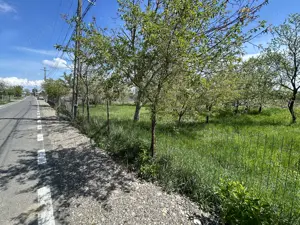 Vand Teren Intravilan Raucesti 7100mp - imagine 4