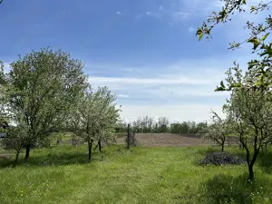 Vand Teren Intravilan Raucesti 7100mp - imagine 3