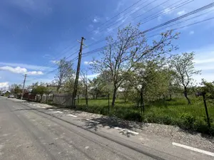 Vand Teren Intravilan Raucesti 7100mp - imagine 2