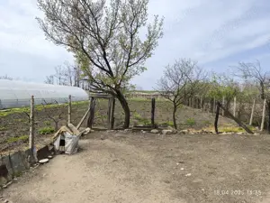 Vand teren 1900mp cu casa batraneasca locuibila - imagine 6