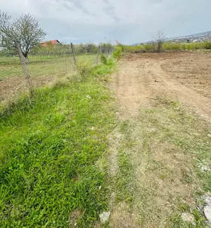 Teren de vânzare, 1079 m2(2parcele), Visan, jud.Iasi.Proprietar! - imagine 3