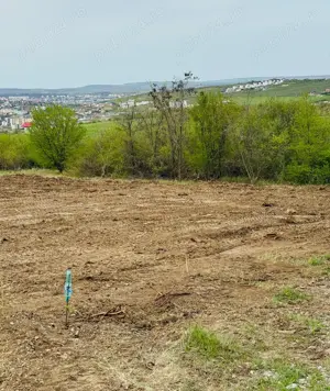 Teren de vânzare, 1079 m2(2parcele), Visan, jud.Iasi.Proprietar! - imagine 2