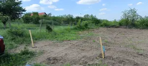 Teren de vânzare, 1079 m2(2parcele), Visan, jud.Iasi.Proprietar! - imagine 5