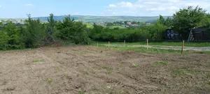 Teren de vânzare, 1079 m2(2parcele), Visan, jud.Iasi.Proprietar! - imagine 8