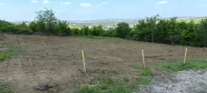 Teren de vânzare, 1079 m2(2parcele), Visan, jud.Iasi.Proprietar! - imagine 6