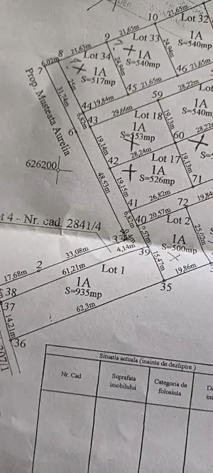 Teren de vânzare, 1079 m2(2parcele), Visan, jud.Iasi.Proprietar! - imagine 7