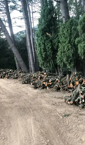 Sofer categoría C+E ->3200  - imagine 2