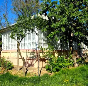 Casă cu grădină mare și vie, Odaia Manolache   toate utilitățile! - imagine 3