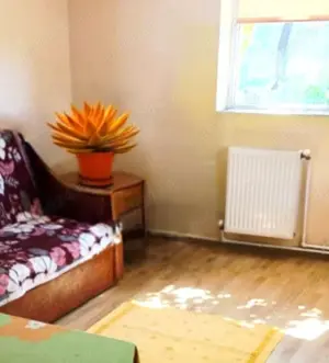 Casă cu grădină mare și vie, Odaia Manolache   toate utilitățile! - imagine 8