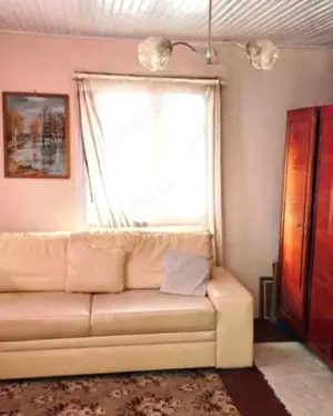 Casă cu grădină mare și vie, Odaia Manolache   toate utilitățile! - imagine 7