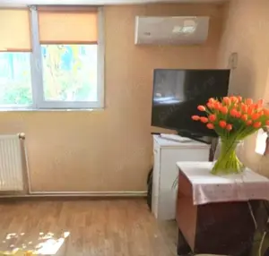 Casă cu grădină mare și vie, Odaia Manolache   toate utilitățile! - imagine 10