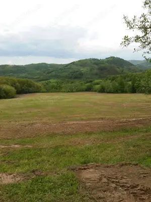 Teren extravilan de 78522 mp in municipiul Dobra Jud. Hunedoara - imagine 2