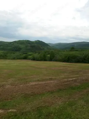 Teren extravilan de 78522 mp in municipiul Dobra Jud. Hunedoara - imagine 3