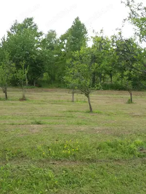 Teren extravilan de 78522 mp in municipiul Dobra Jud. Hunedoara - imagine 7