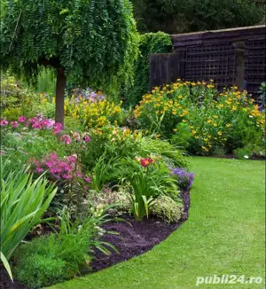 Amenajare spatii verzi in Targu-Mures