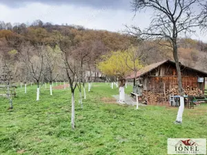 Vanzare teren 4544 mp in Almasu Mare