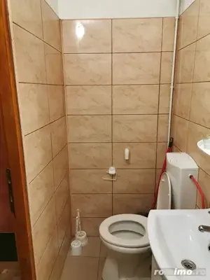 inchiriere apartament cu 1 camera zona Take Ionescu  - imagine 5