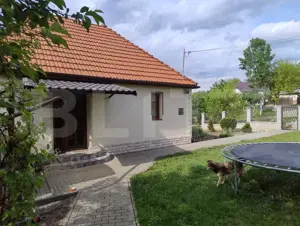 Casa in Teaca cu 4 camere si 10 ari de teren - imagine 3
